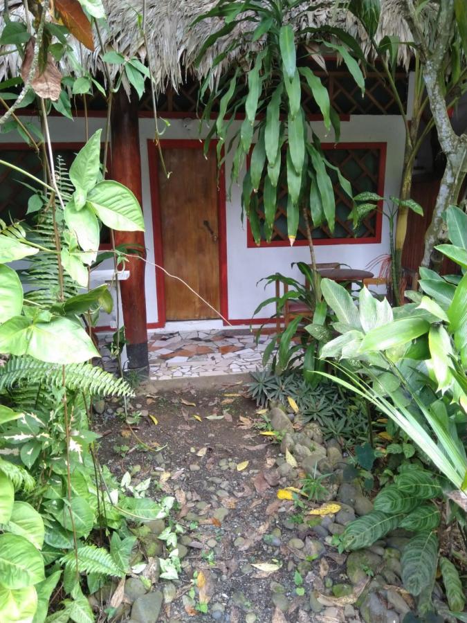 Hotel Cabinas Talamanca Sa Puerto Viejo de Talamanca Exterior foto